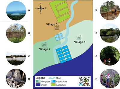 The Mangal Play: A serious game to experience multi-stakeholder decision-making in complex mangrove social-ecological systems